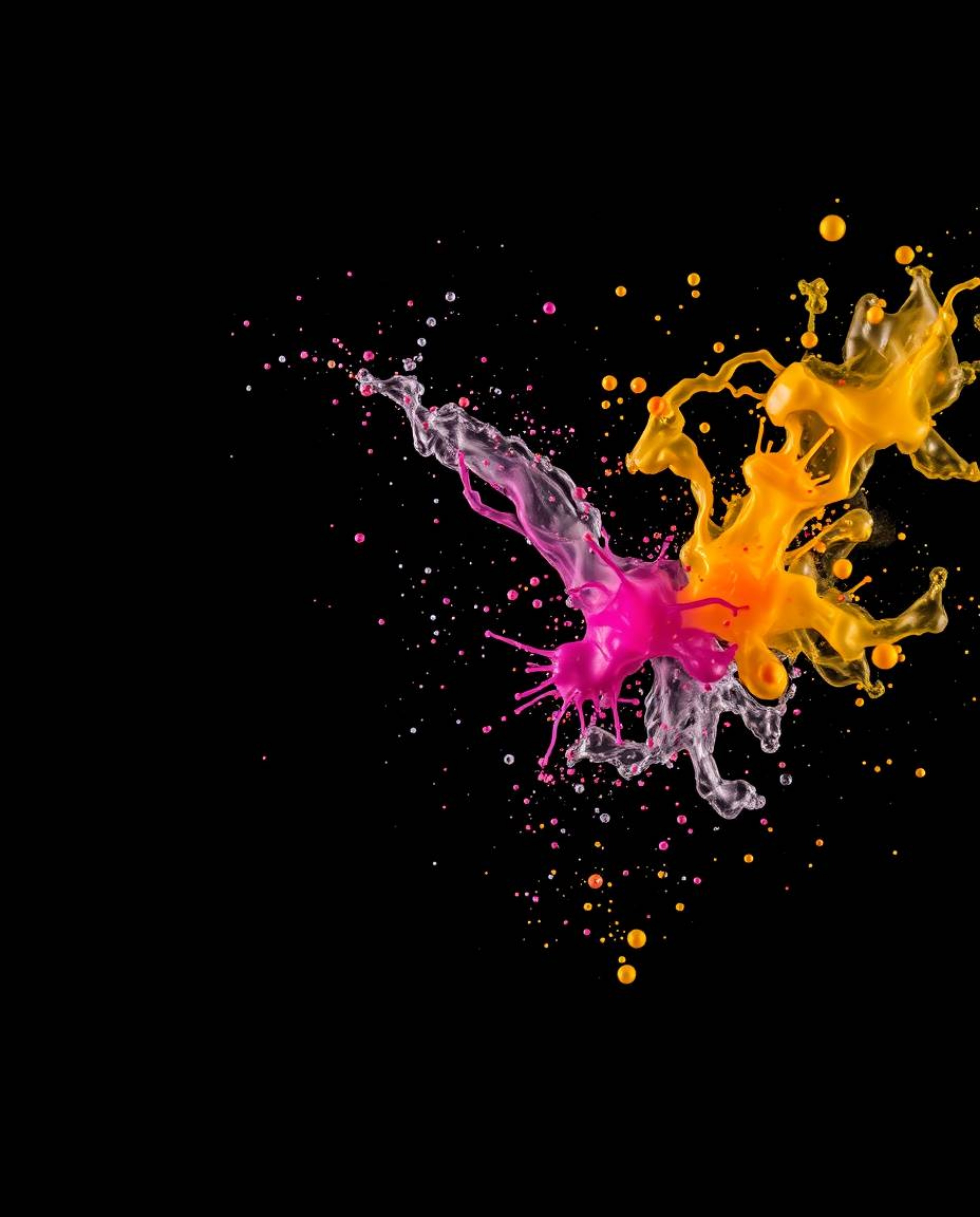 Explore the captivating world of intense jet black backgrounds brought to life with dynamic, colorful splashes frozen in moti