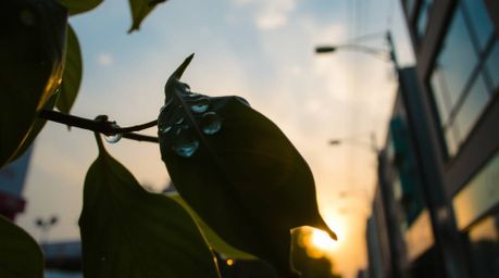 This collection captures fleeting moments of urban life through a unique lens. From dramatic low angle perspectives and candi