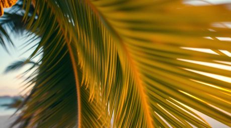 Capture the essence of a tropical paradise with stunning architectural color photography showcasing a vibrant sunset over a s