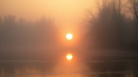 A captivating cinematic shot of a vibrant sunset reflected in a serene pond.  The image features soft, diffused light, creati