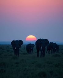 This artwork depicts elephants walking across a sunset field, rendered in a unique and tranquil cool color palette of blues, 