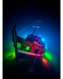 Discover a breathtaking underwater scene featuring a glowing shipwreck illuminated by bioluminescent organisms.  Experience v