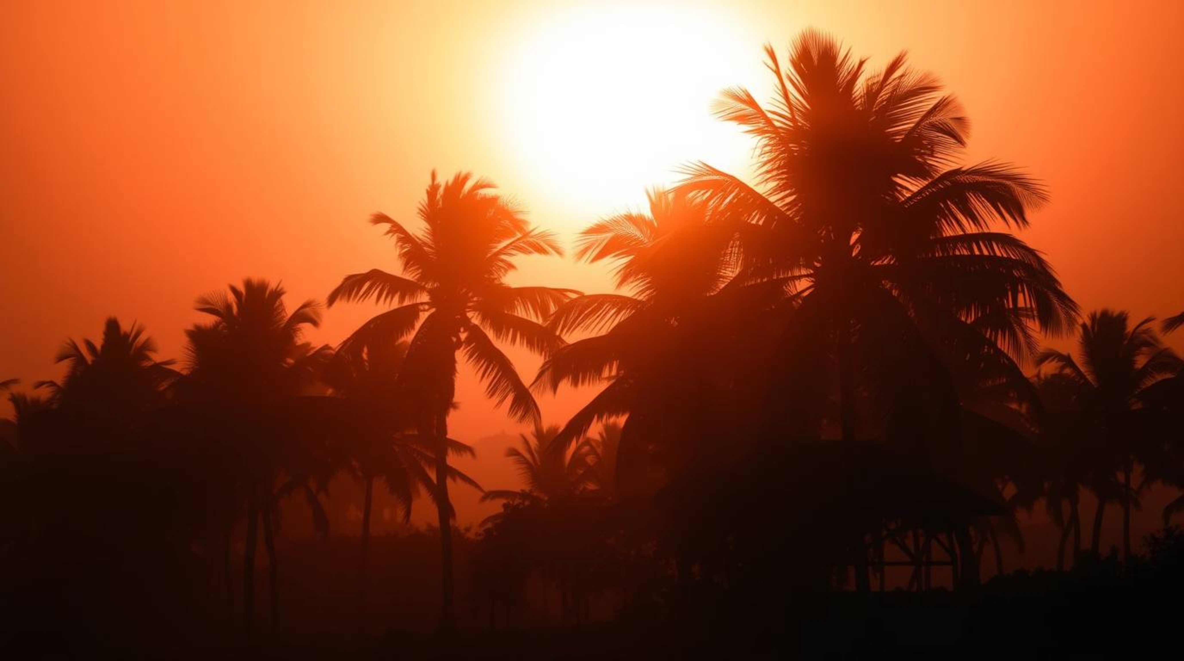 Experience the magic of a tropical beach sunset with captivating chiaroscuro lighting.  This stunning scene features swaying 