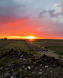 A stunning sunrise over a war-torn landscape is captured with vibrant complementary colors and a blurred bokeh effect. The sh