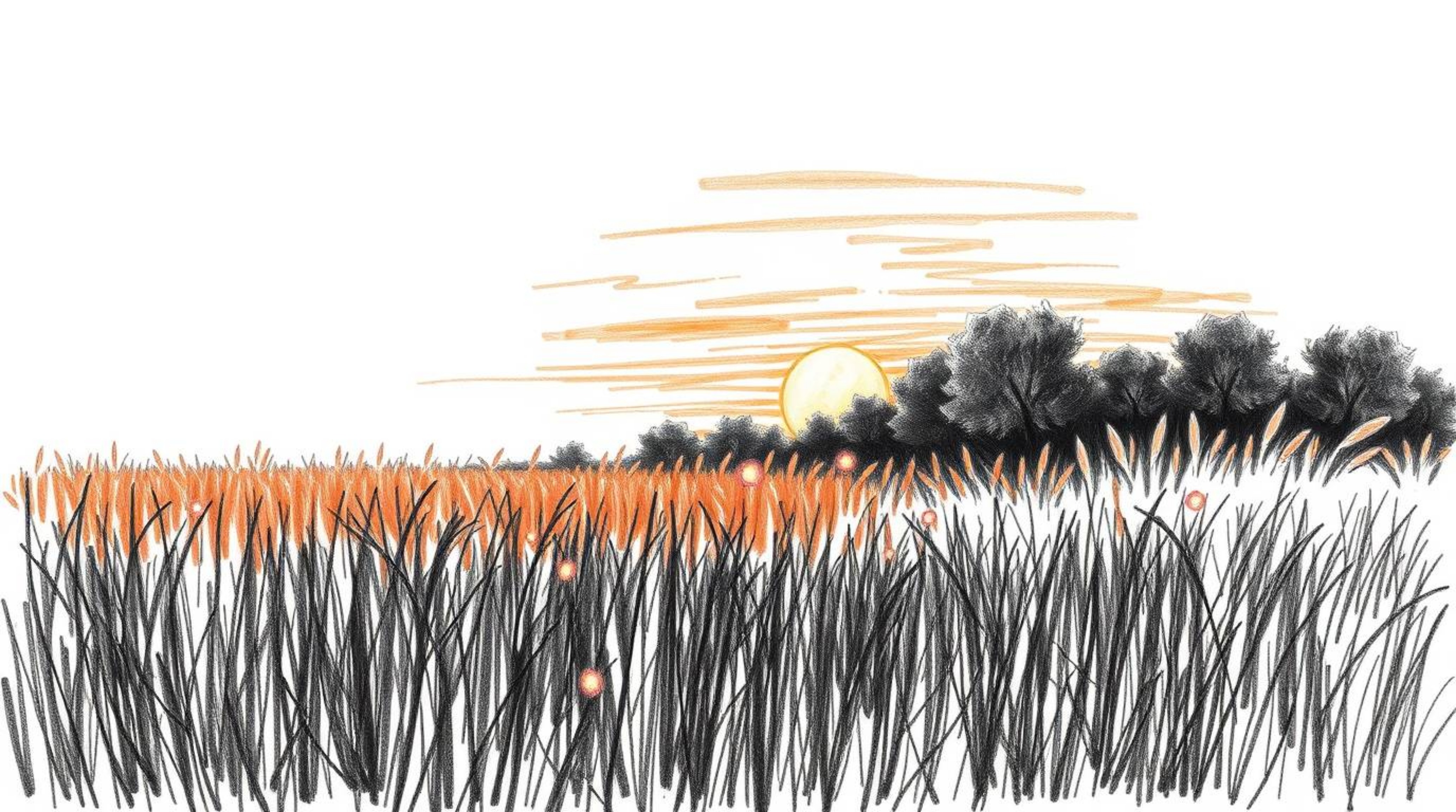 A captivating high-contrast hand-drawn sketch in a cinematic style depicts a serene sunset over a quiet meadow. Fireflies be