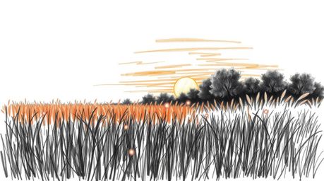 A captivating high-contrast hand-drawn sketch in a cinematic style depicts a serene sunset over a quiet meadow.  Fireflies be