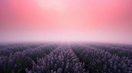 Explore the captivating blend of action and tranquility in this collection of photographs. Featuring dynamic motion captured 