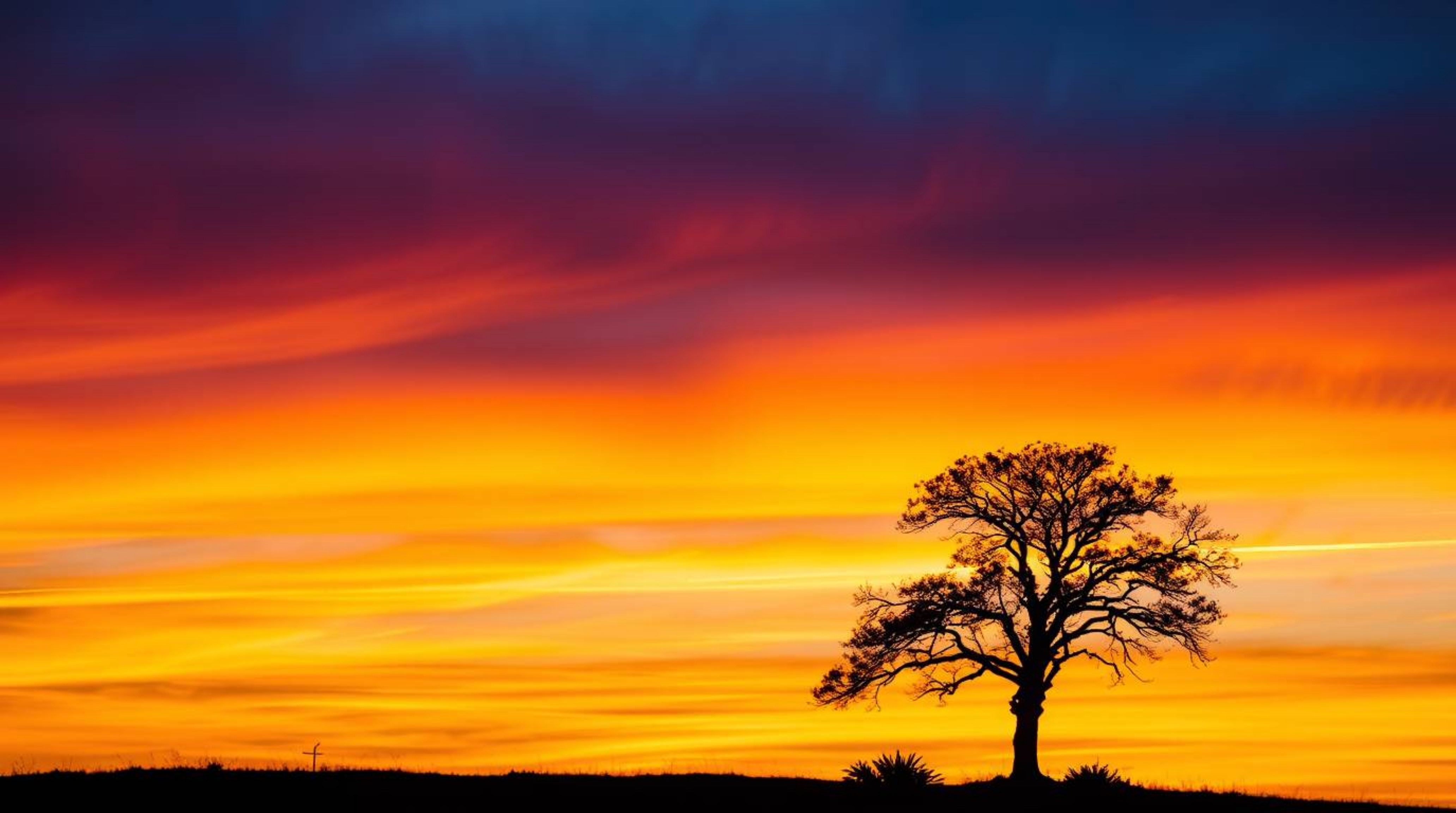 Capture the breathtaking beauty of a solitary tree silhouetted against a vibrant sunset with long exposure photography. These