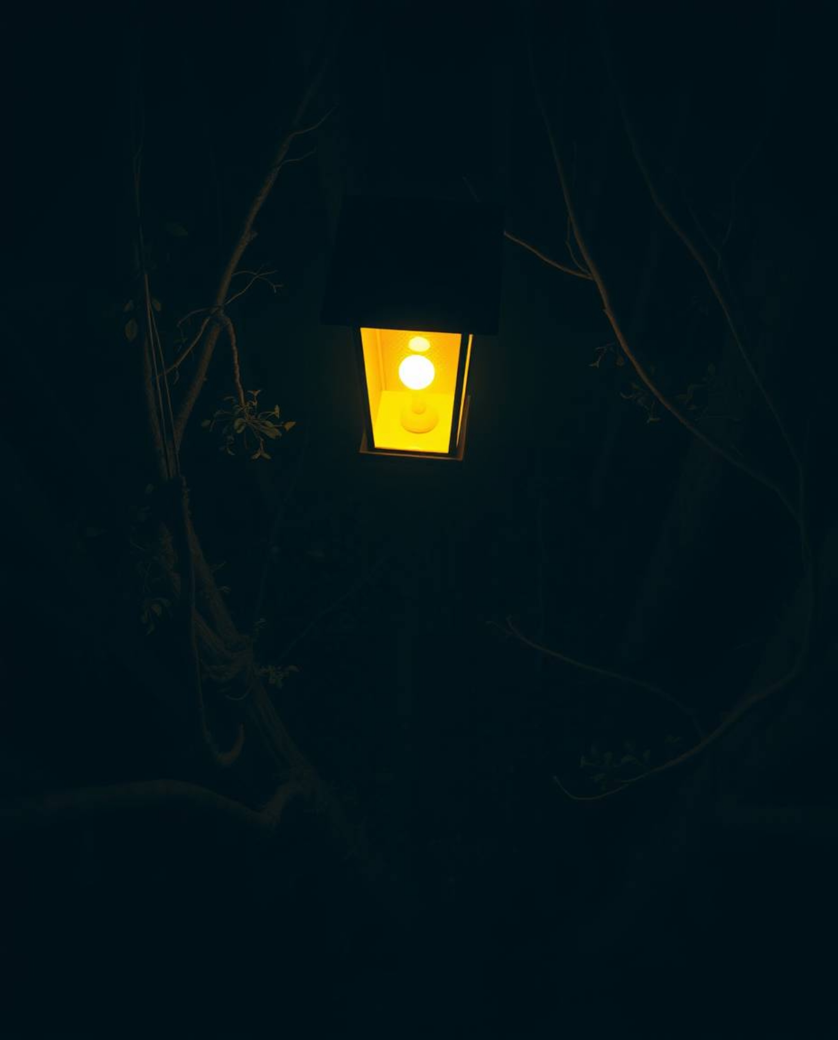Experience the ethereal beauty of a glowing lantern illuminating a dark forest, captured from a high-angle bird's eye perspec