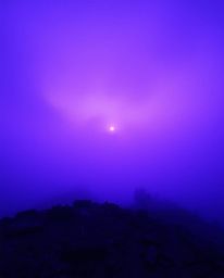 A captivating image depicting a sunrise over a war-torn landscape.  Thick fog creates a deep ultraviolet hue, resulting in a 