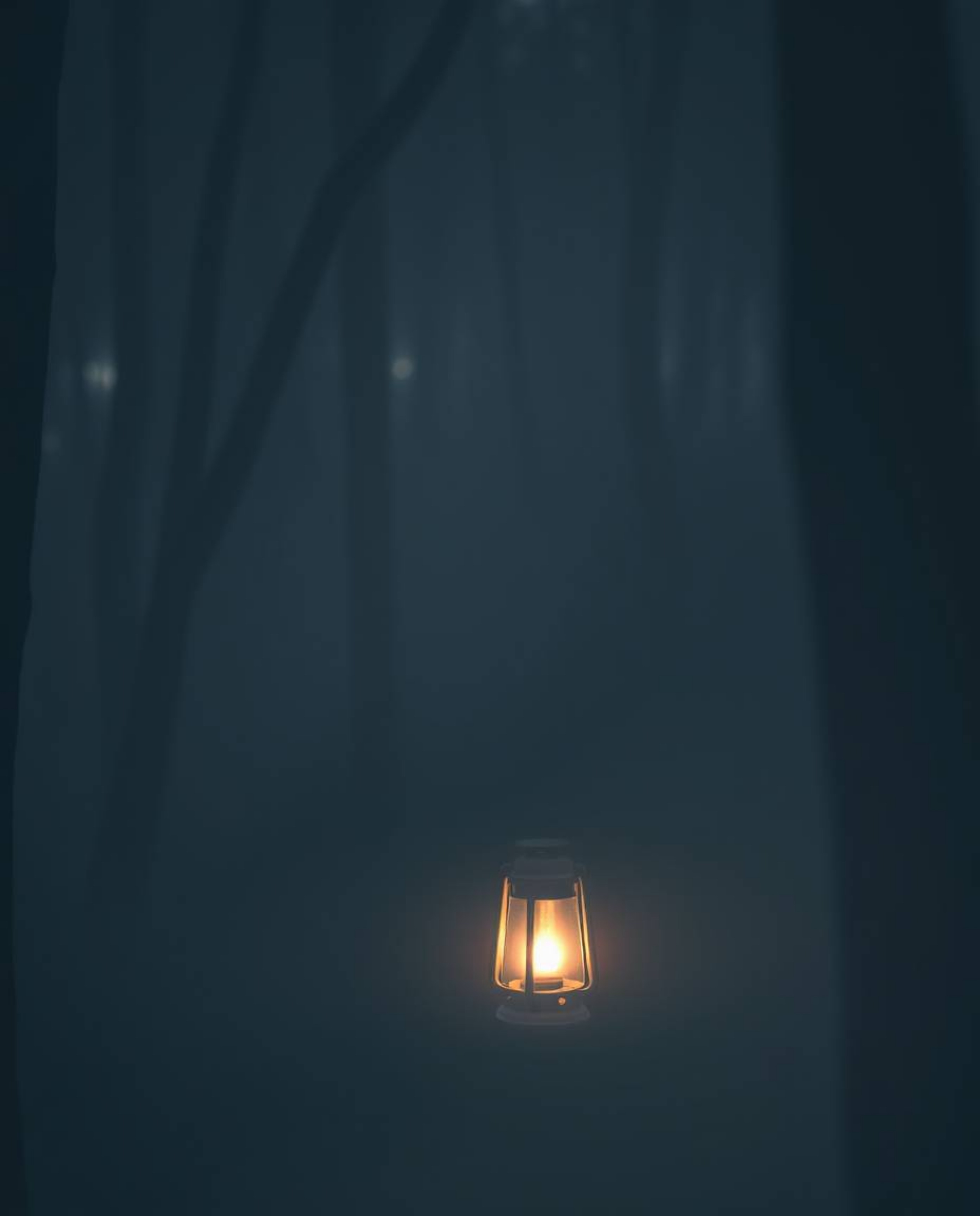 A captivating image showcasing a soft, glowing lantern nestled within a dark, mysterious forest.  The scene evokes a gentle, 