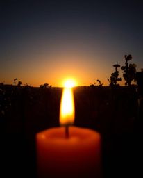 From a dramatic low-angle view, this image captures a stunning sunset over a vineyard, bathed in the warm glow of candlelight