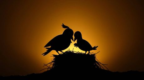 Two cartoon birds are depicted in a classic animation style, diligently building a nest. The scene is dramatically lit with s