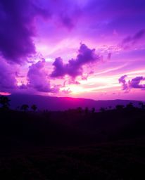 A dramatic photograph of a sunset over terraced tea plantations, captured under an intense, stormy sky. The image is rendered