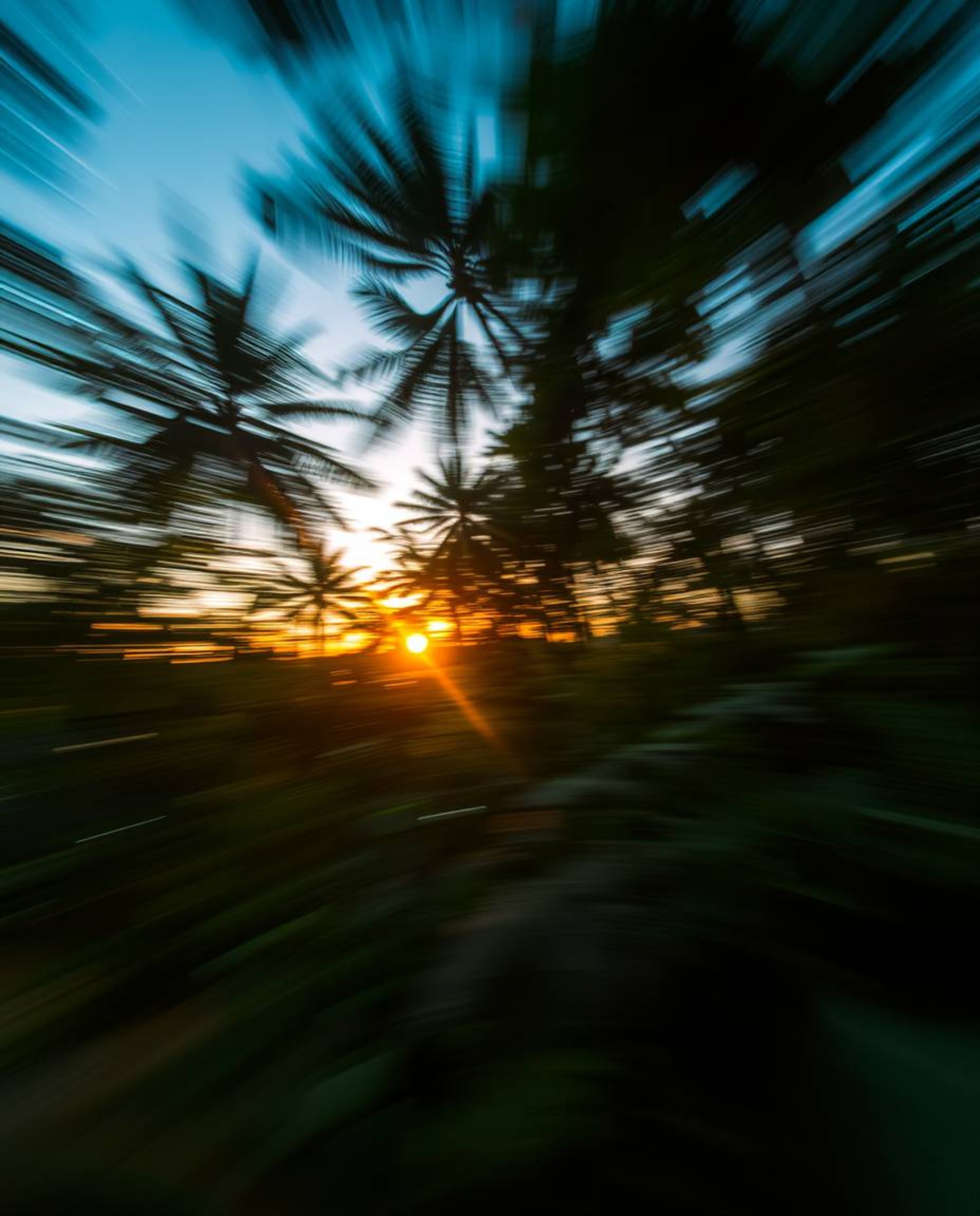 Dynamic motion is depicted through a blurred sunset scene within a dense jungle canopy. The artwork utilizes action poses and
