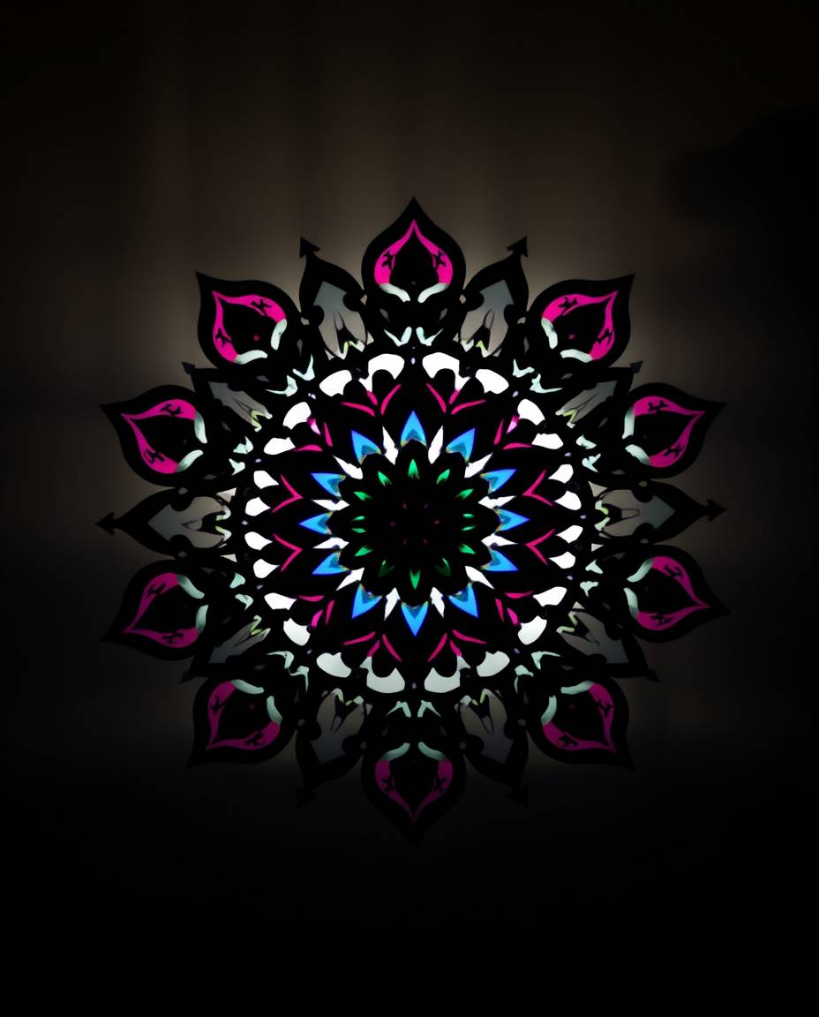 This stunning silhouetted photograph captures a geometric floral mandala bursting with vibrant colors and a perfectly symmetr