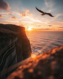 This close-up photograph captures a coastal cliff sunset in stunning detail, with soaring birds adding a sense of freedom and