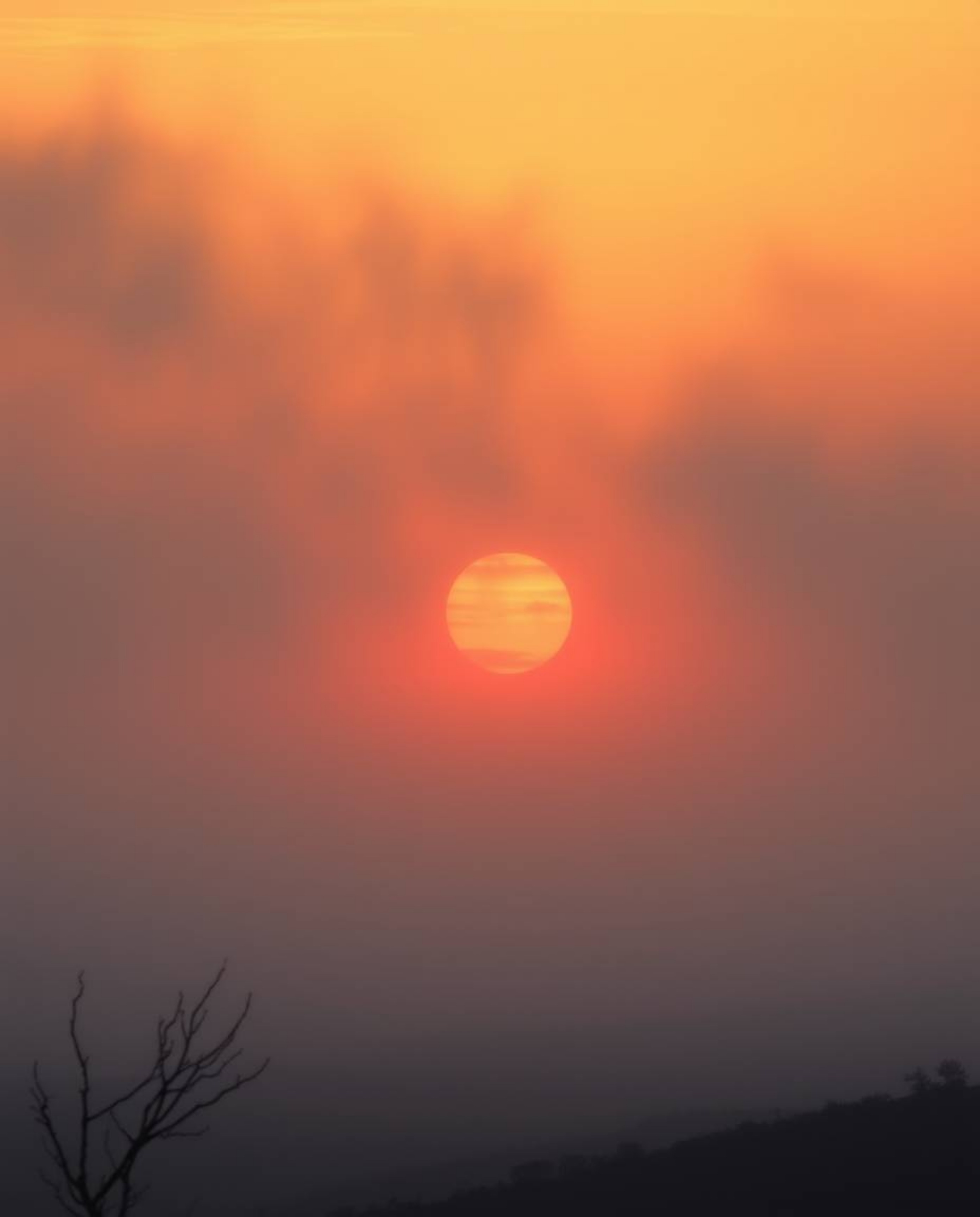 This is an unusual and original fine art photograph capturing a Tuscan sunset obscured by thick fog, resulting in a scene wit