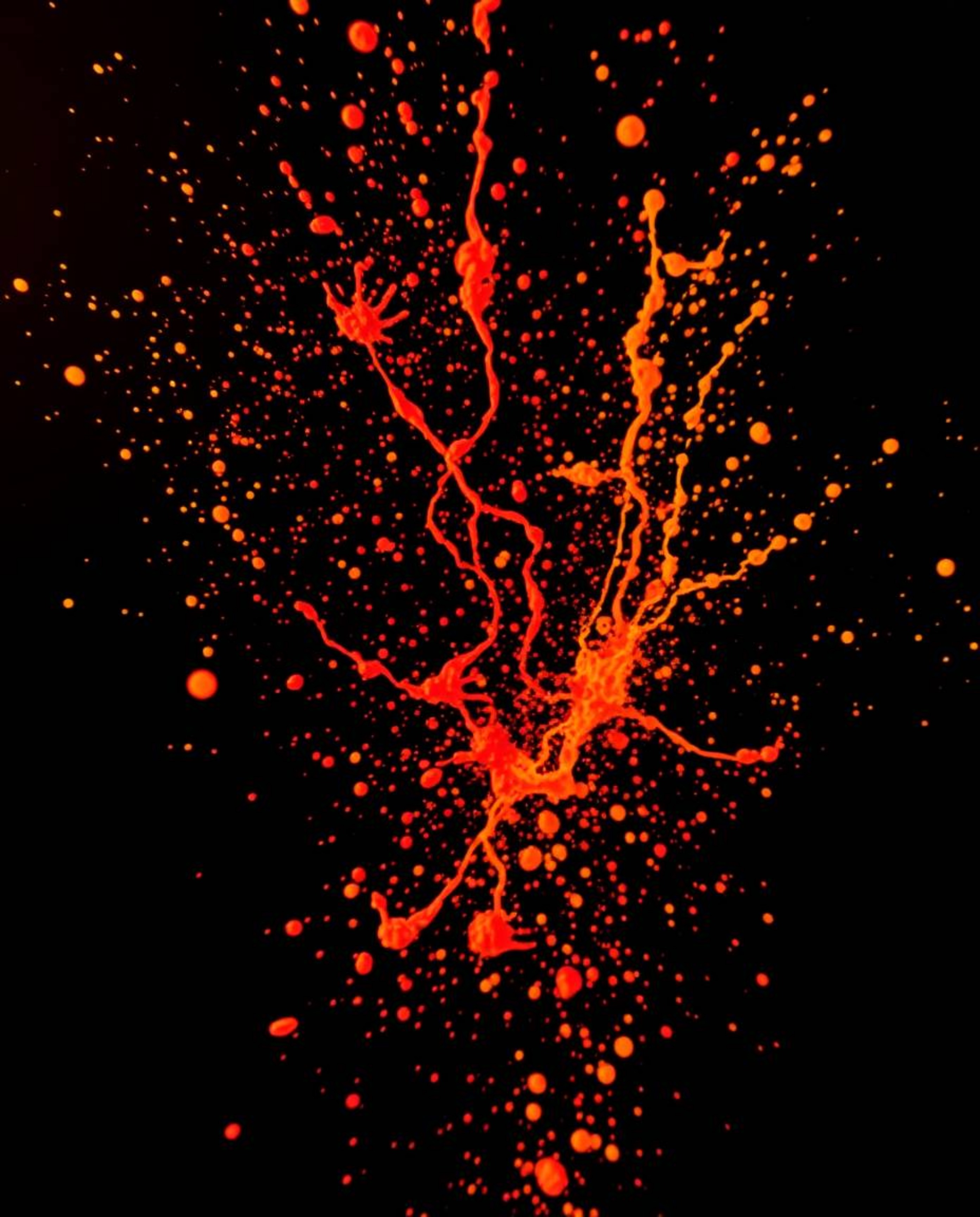 Capture the mesmerizing beauty of dynamic, colorful splashes frozen in time against a stark black background. This artistic p