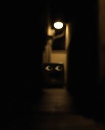A captivating image featuring a blurred bokeh effect and contrasting chiaroscuro lighting, creating a dramatic and mysterious