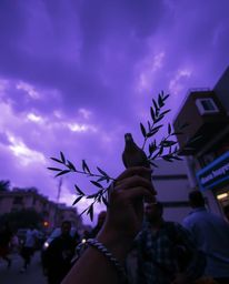 Capture spontaneous candid moments in urban scenes with deep ultraviolet hues and strong hard light.  This high-contrast stre