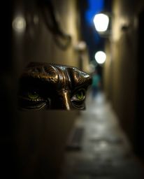 A captivating image of eyes watching from the dim shadows of a nighttime alleyway, the background artfully blurred with a bok