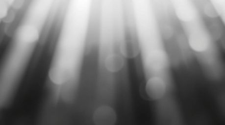A classic black and white photograph showcasing an abstract poster design.  The image utilizes a gradient mesh pattern with v