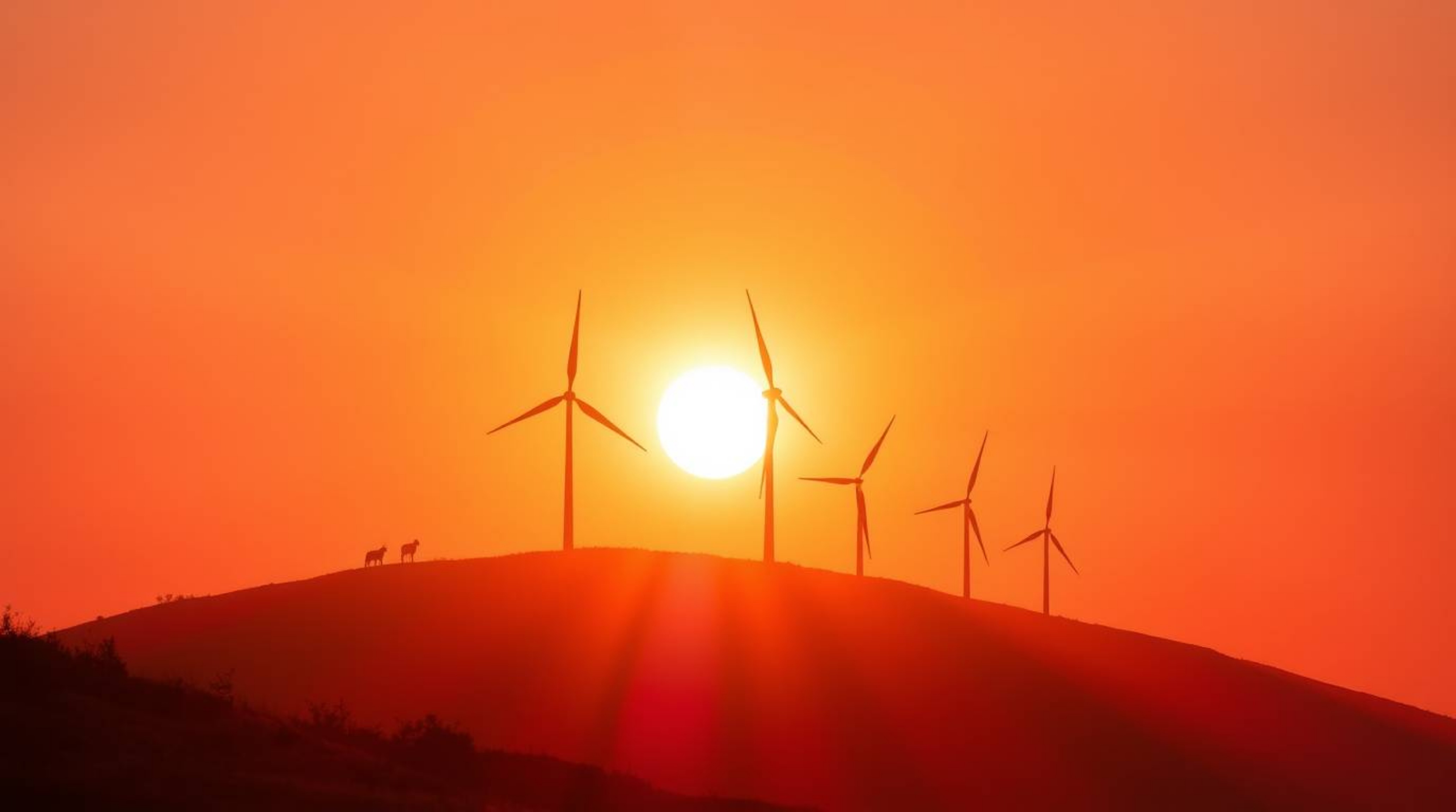 Capture the vibrant energy of a sunset behind a row of wind turbines perched atop a hill. This stunning image features volume