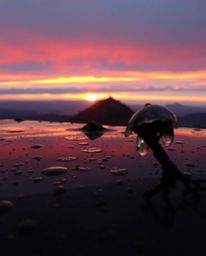 Immerse yourself in a serene, wet rainy scene of a sunset viewed from a high alpine peak. This artwork features a smooth grad