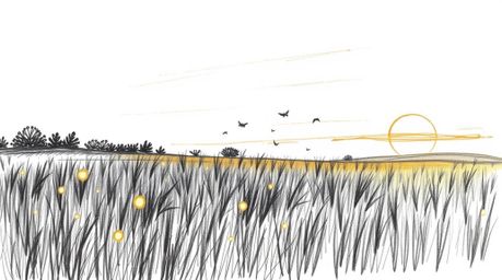 A captivating hand-drawn sketch depicts a dramatic cinematic sunset over a tranquil meadow, where fireflies begin to emerge. 