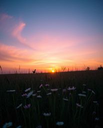A captivating scene of a spring sunset over a wildflower meadow, uniquely illuminated by soft pastel and glowing bioluminesce