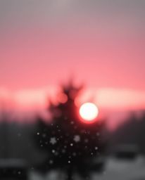 This classic black and white photograph captures snowflakes falling during a vibrant sunset from a high-angle perspective. Th