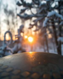 A stunning image utilizes a blurred bokeh effect to highlight the beauty of sunset light sparkling on snowy pine trees. The c