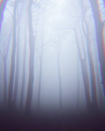 Experience a captivating surreal forest scene disrupted by a striking digital glitch effect.  The thick fog creates low visib