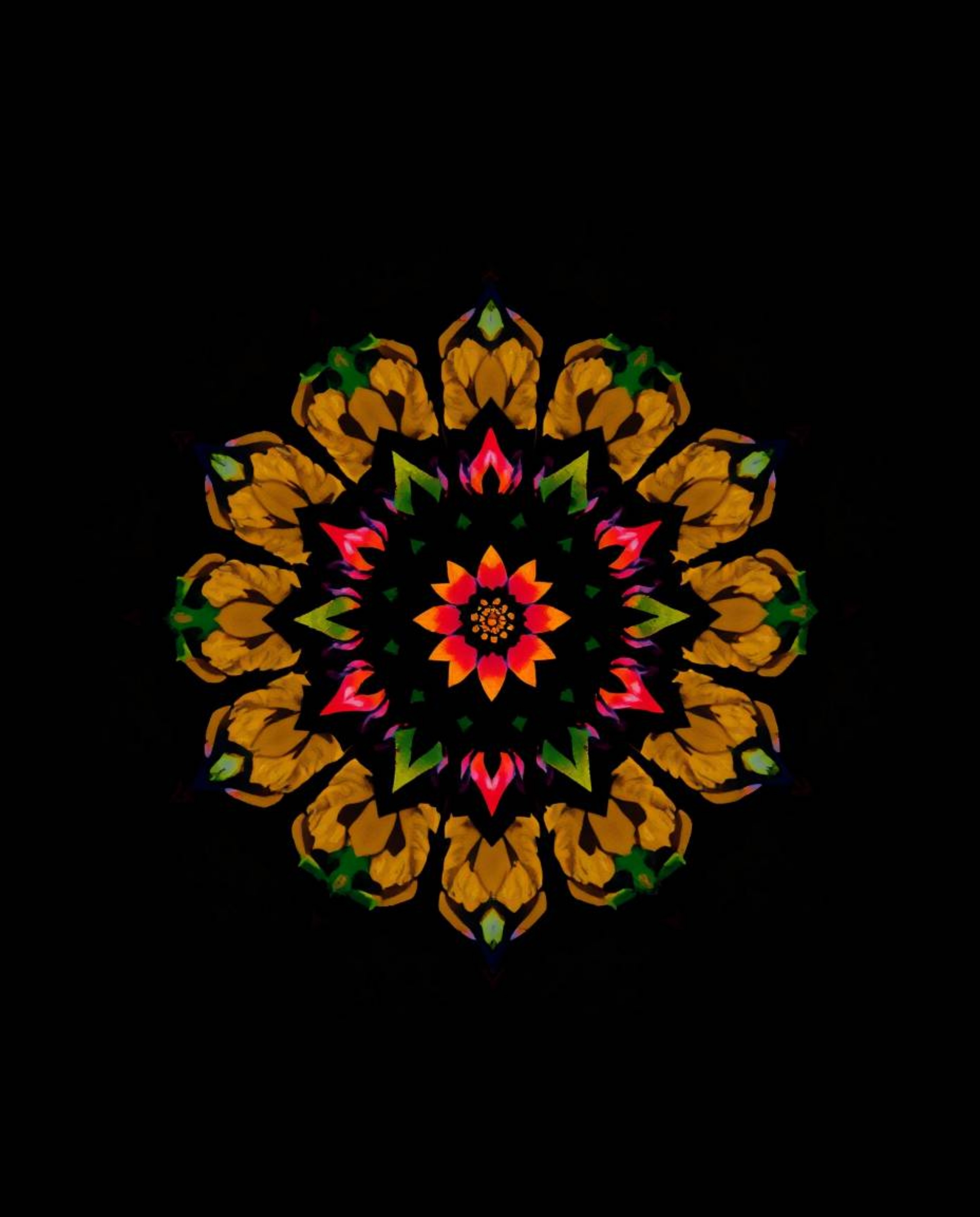 A captivating image showcasing a geometric floral mandala.  The high-contrast, low-key lighting and overhead bird's-eye view 