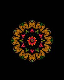 A captivating image showcasing a geometric floral mandala.  The high-contrast, low-key lighting and overhead bird's-eye view 