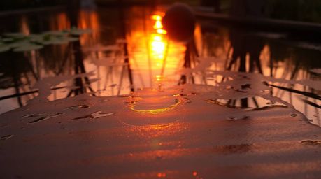 A captivating image of a warm golden glow on a bronze surface, reflecting a vibrant sunset in a tranquil pond. The antique pa
