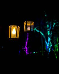 A glowing lantern casts a mesmerizing light through a dark forest, illuminating vibrant bioluminescent colors.  The scene evo