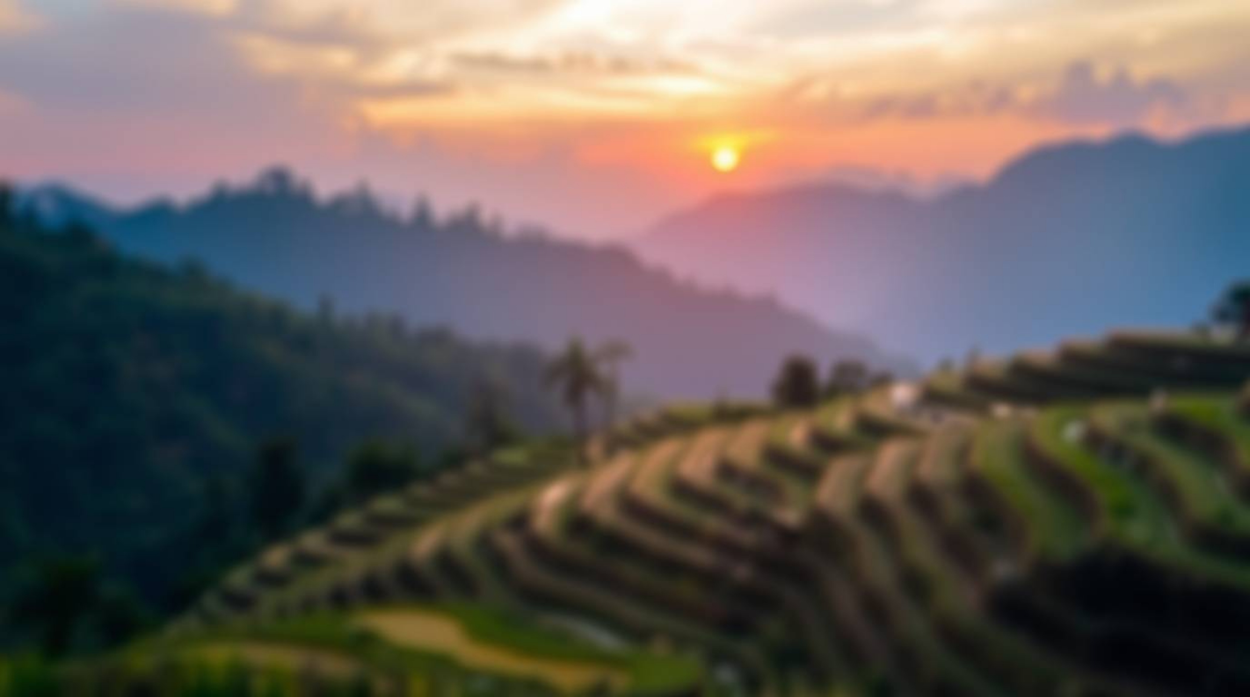A stunning photograph capturing a vibrant sunset over lush rice terraces nestled in the mountains. The image utilizes a beaut