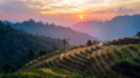 A stunning photograph capturing a vibrant sunset over lush rice terraces nestled in the mountains. The image utilizes a beaut