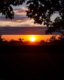 A high-resolution stock photo, professionally styled and divided into distinct sections, depicting a sunset seen through a de