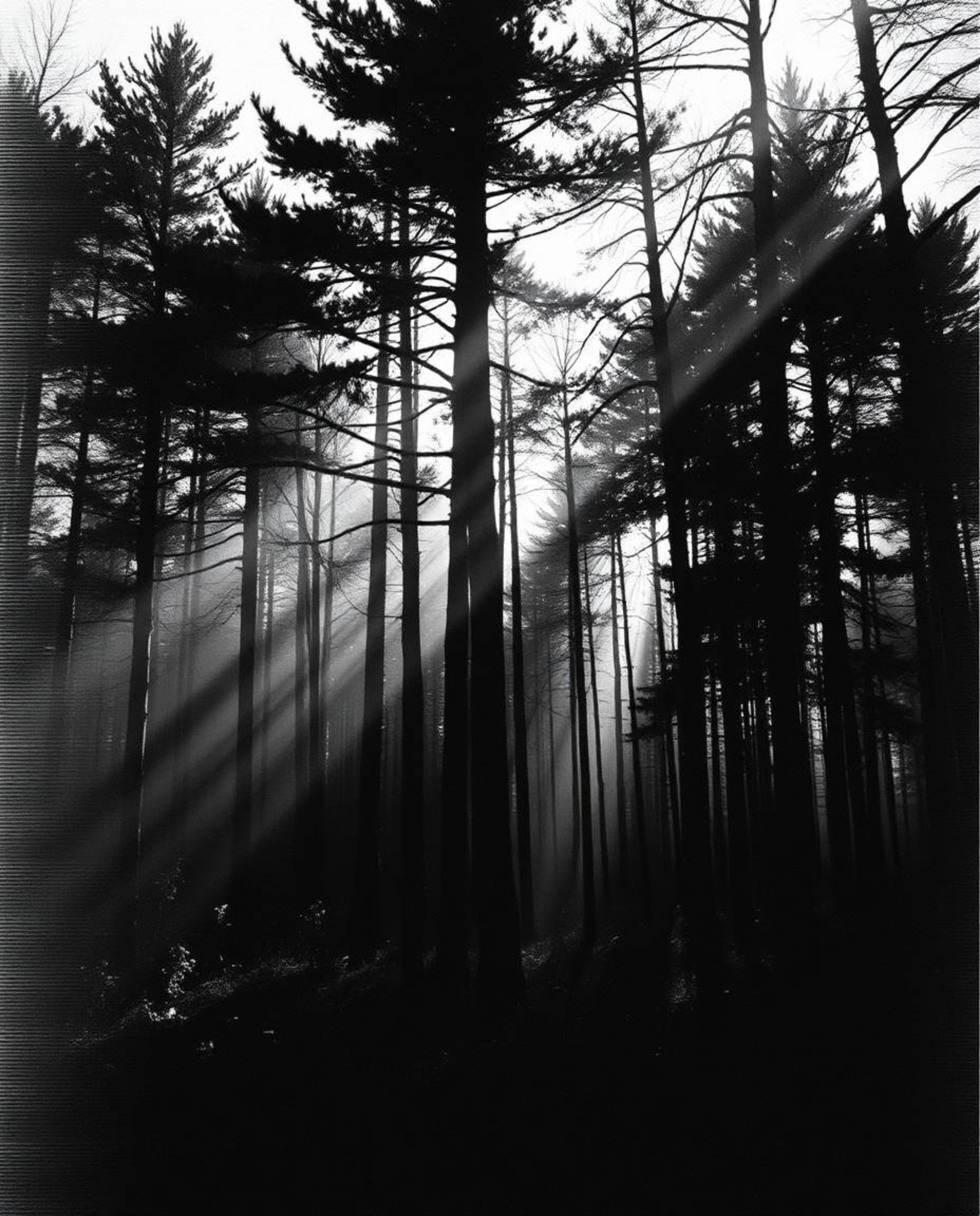Experience a captivating blend of classic black and white cinematography and modern digital glitch art. This surreal image sh