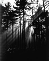 Experience a captivating blend of classic black and white cinematography and modern digital glitch art. This surreal image sh