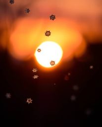 This close-up chiaroscuro photograph captures the beauty of detailed snowflakes falling during a vibrant sunset. The use of s