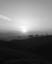 This is a timeless and elegant black and white photograph capturing a sunset over terraced tea plantations. The image is defi