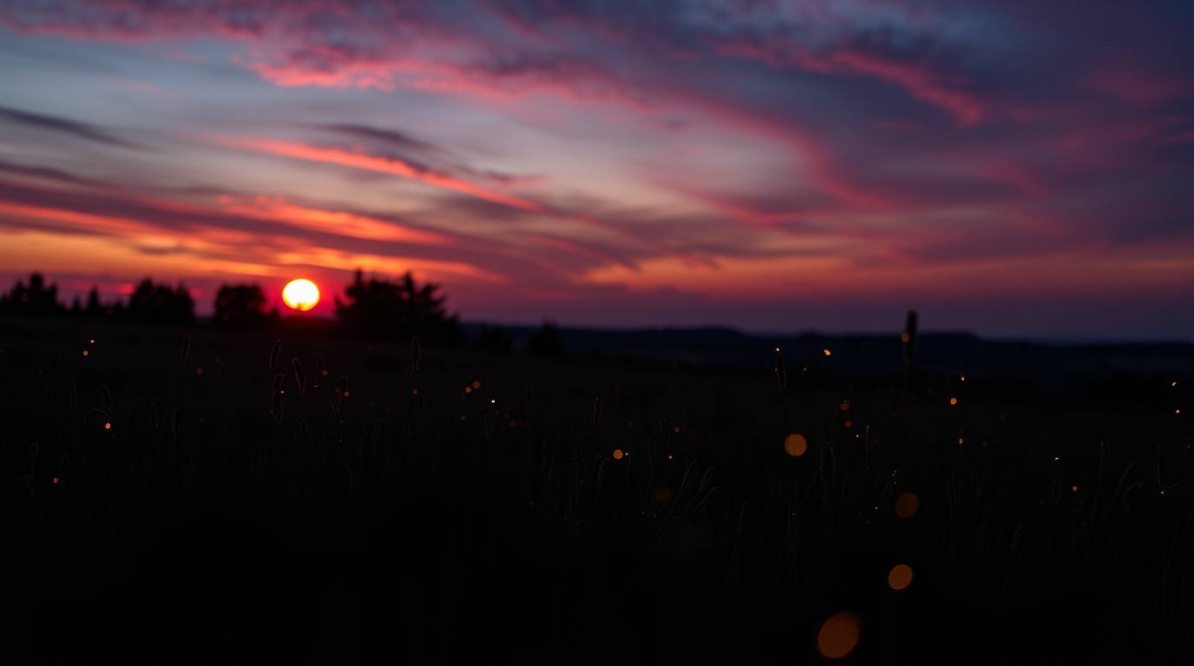 A captivating high-resolution stock photo showcasing a serene sunset over a tranquil meadow.  The image features the enchanti
