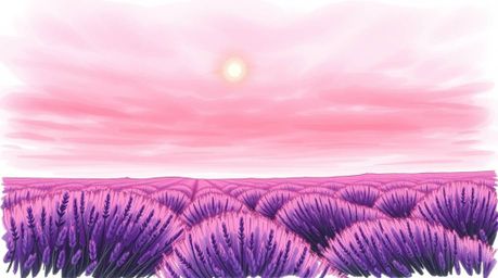 Experience the serenity of lavender fields aglow under a dreamy pink sky in this high-angle, hand-drawn color sketchnote. The