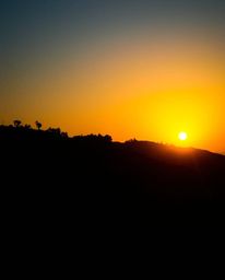 A silhouetted photograph depicting a sunset over terraced tea plantations. The image is defined by its strong moody style and
