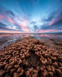 A low-angle perspective captures a colorful sky over a coral reef at low tide. This artwork is characterized by its natural e