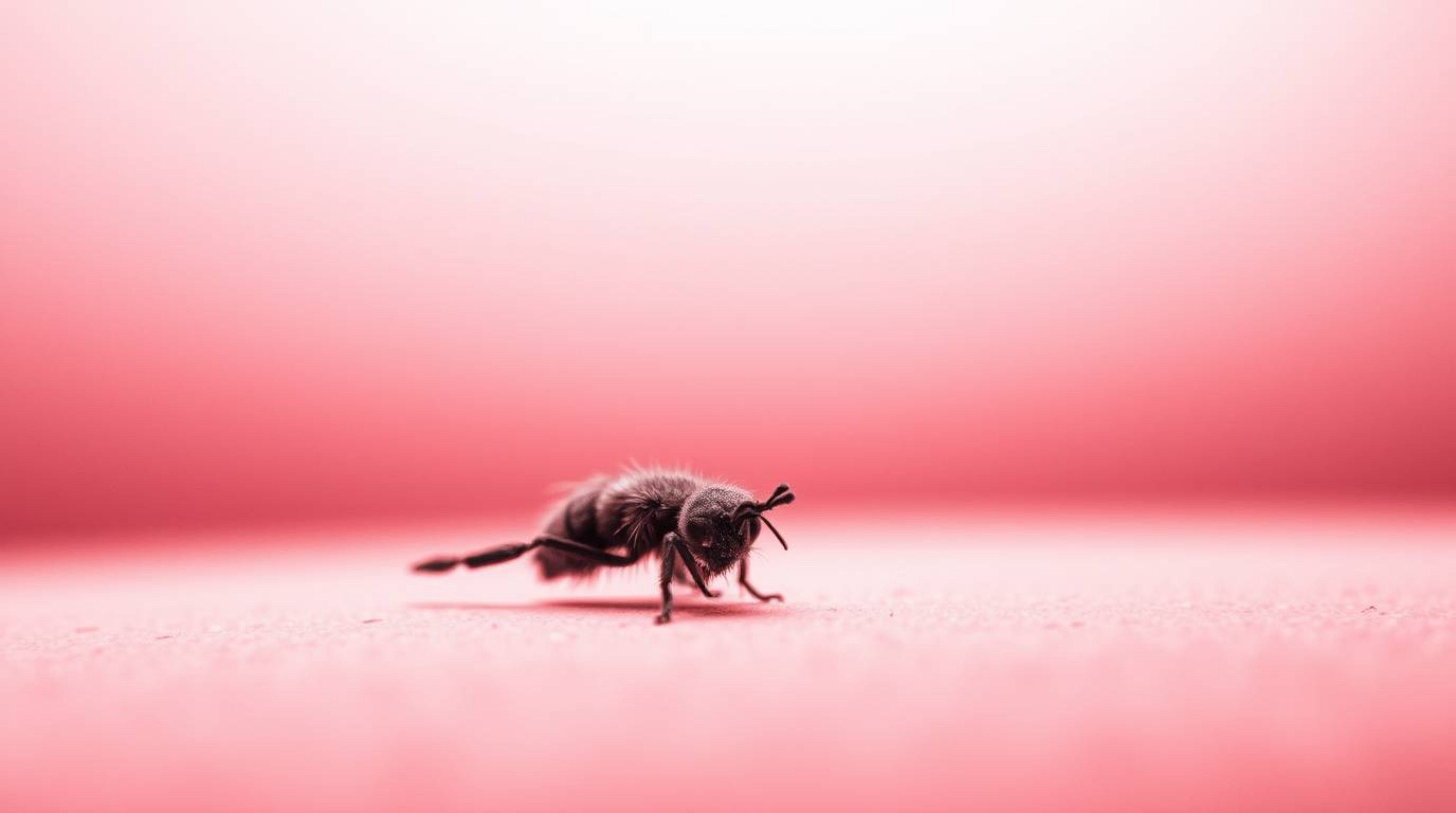 Explore the surreal beauty of extreme macro close-up photography with a focus on infrared tones and abstract gradients. The i